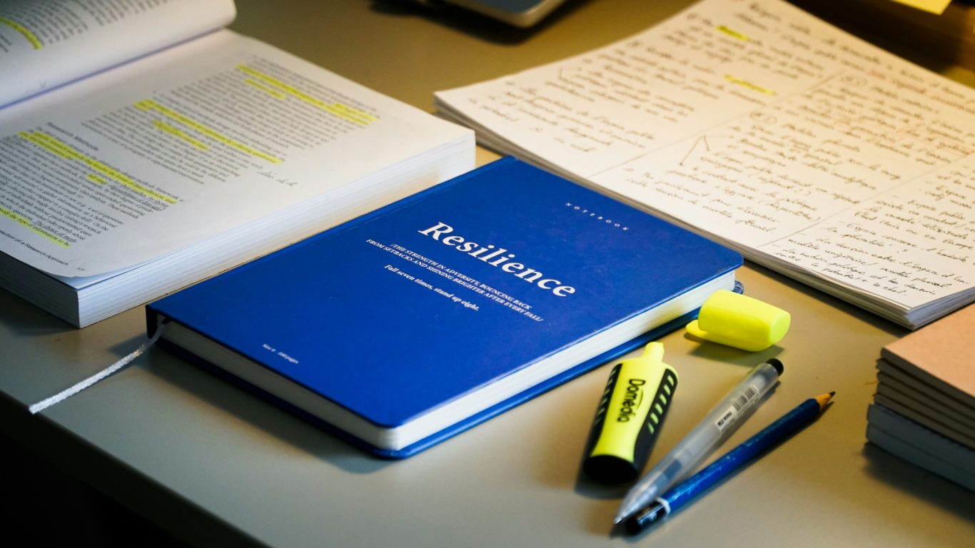 Thrive in Your Studies: Mentoring and support for busy HE professionals